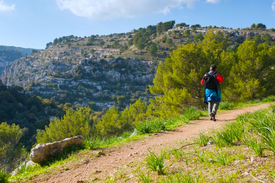 The Magna Via Francigena