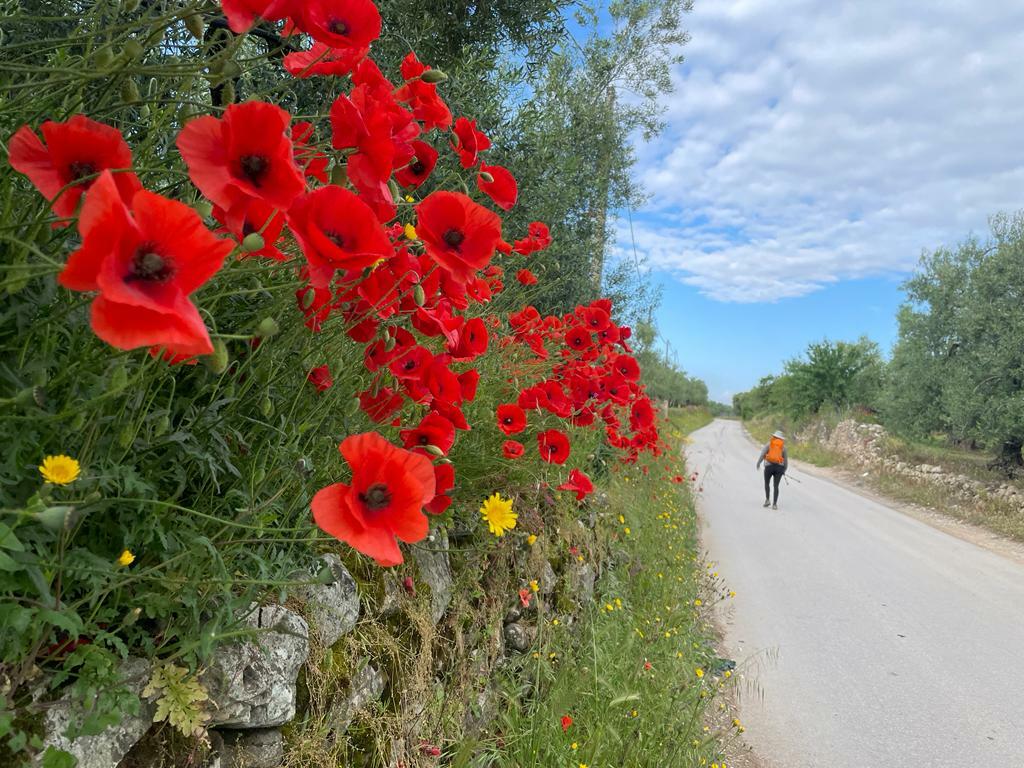 Trekking stanziale in Liguria