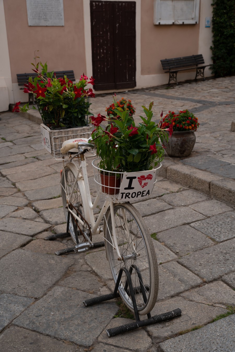 I love Tropea
