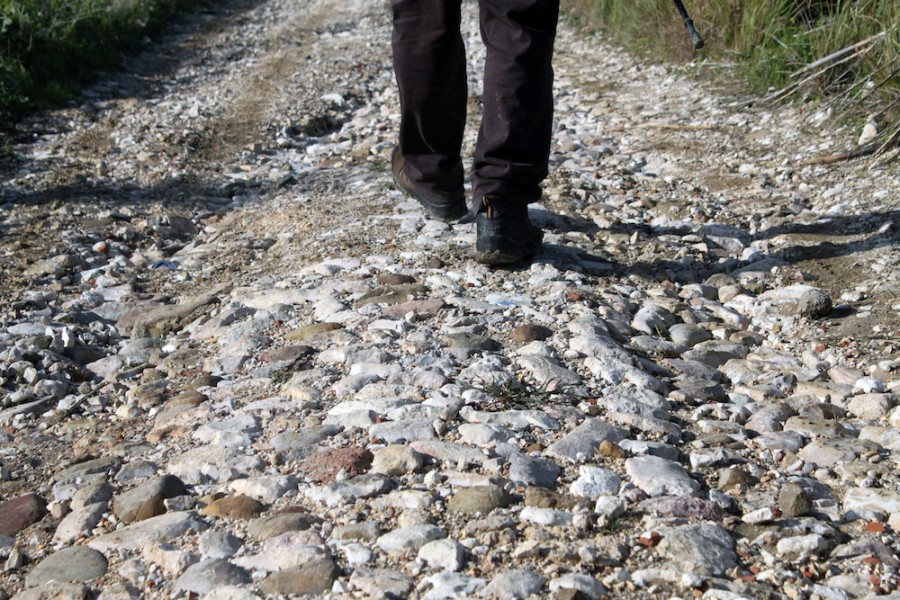 trazzera Magna Via Francigena