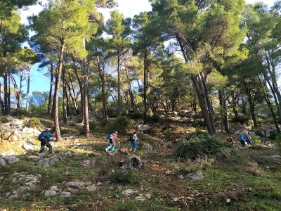 Cammino di San Nilo in gruppo