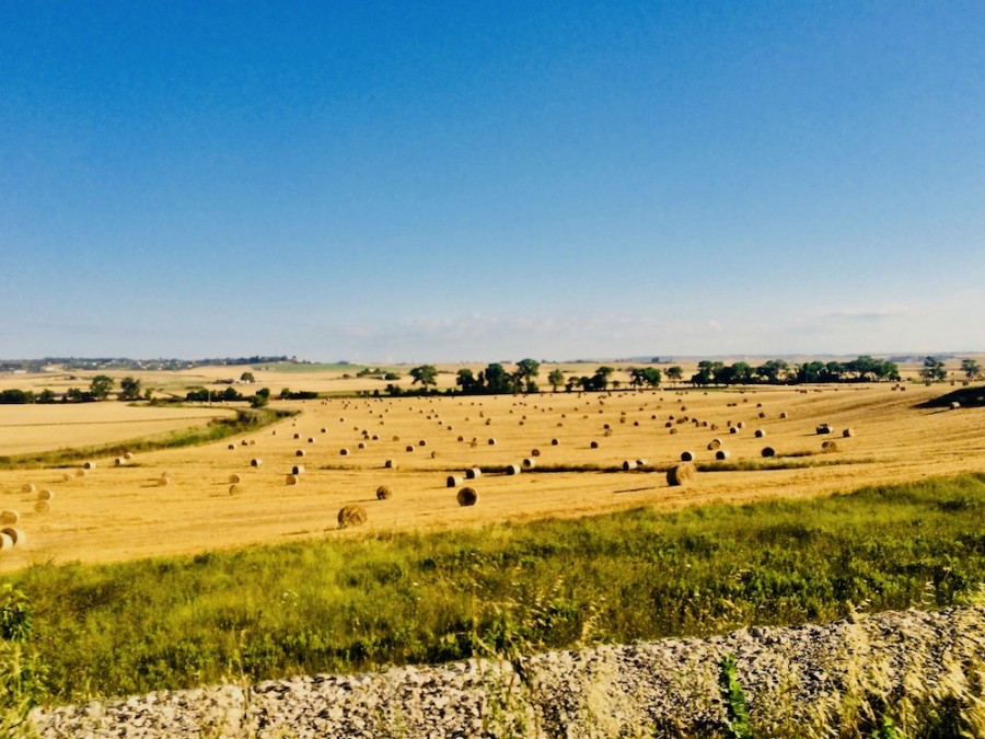 campi_Basilicata