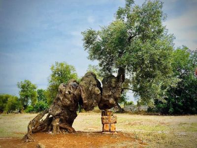 Da Ostuni pedala tra i sapori di Puglia